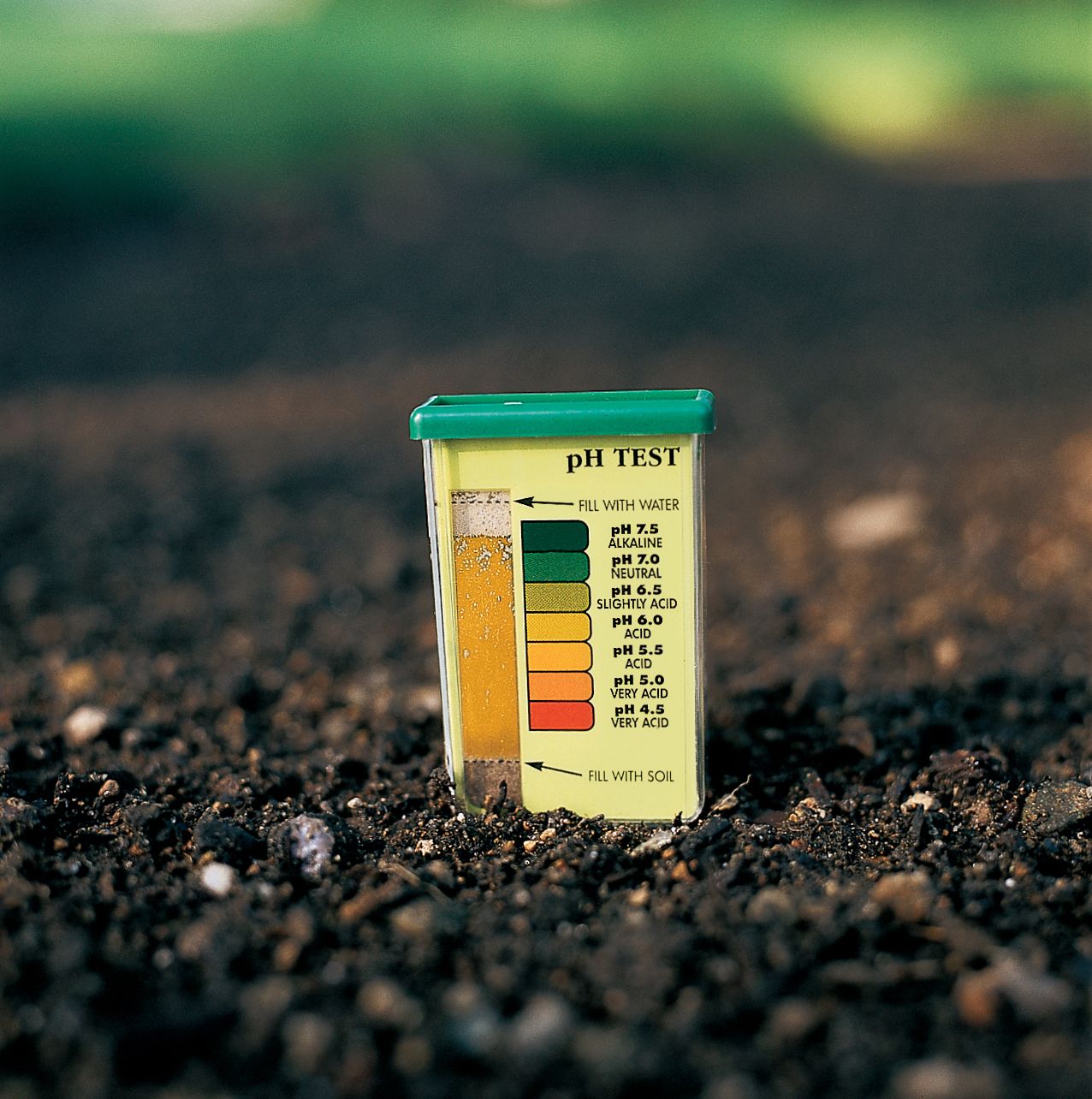 pH test in soil