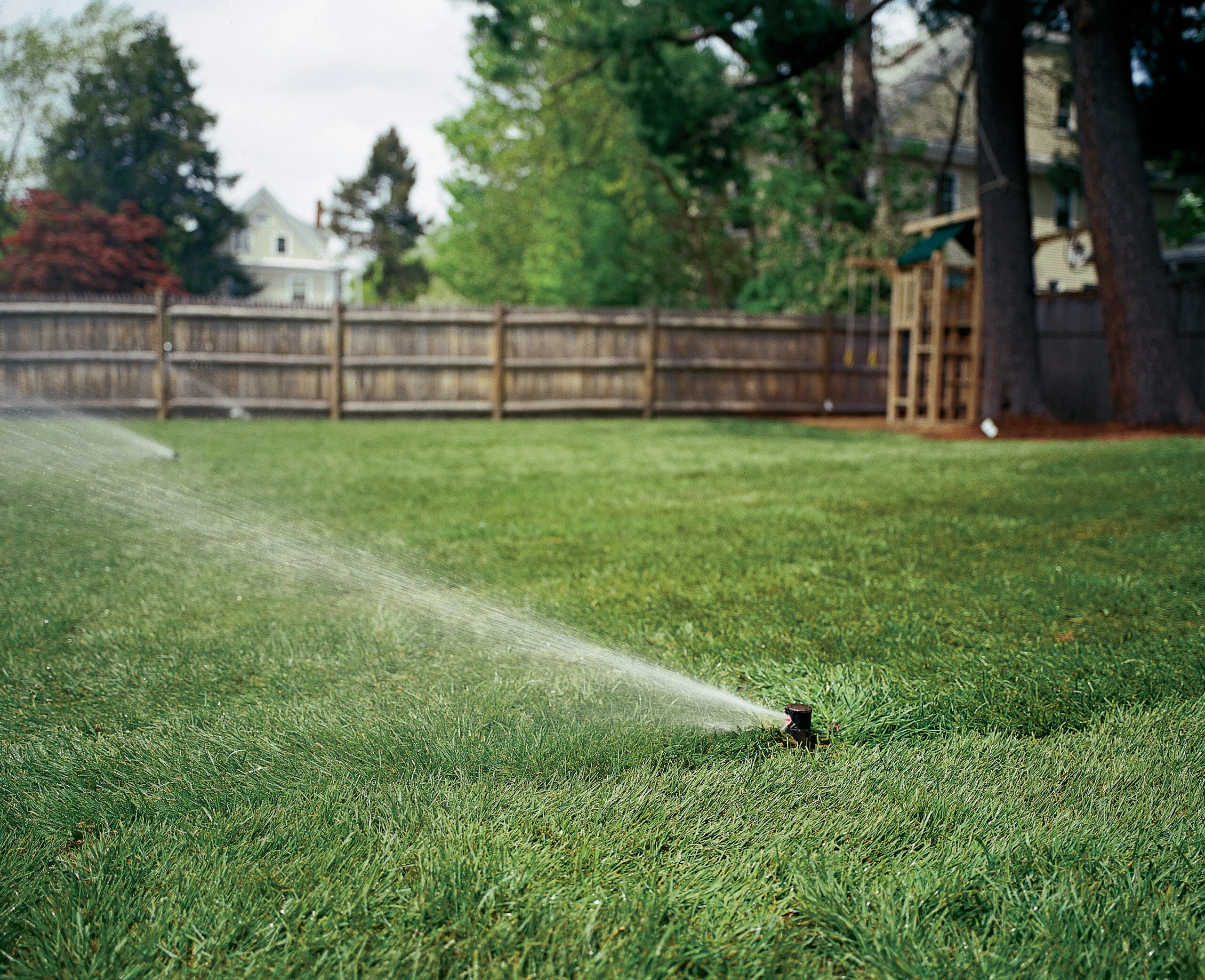 Sprinkler heads pop up and soak newly laid sod yard.