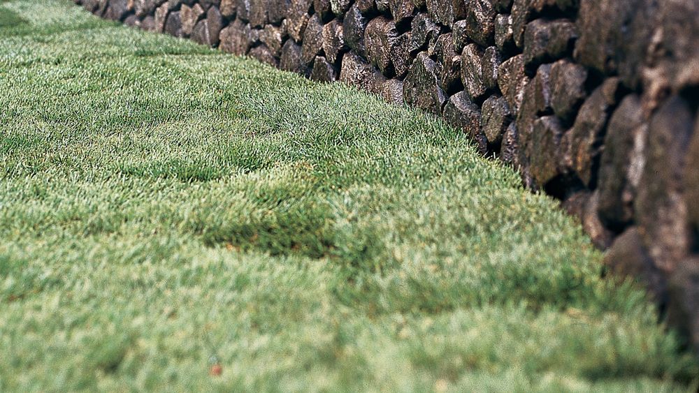 A neatly laid sod lawn extends up to a stone retaining wall, with a wooden fence and house in the background.