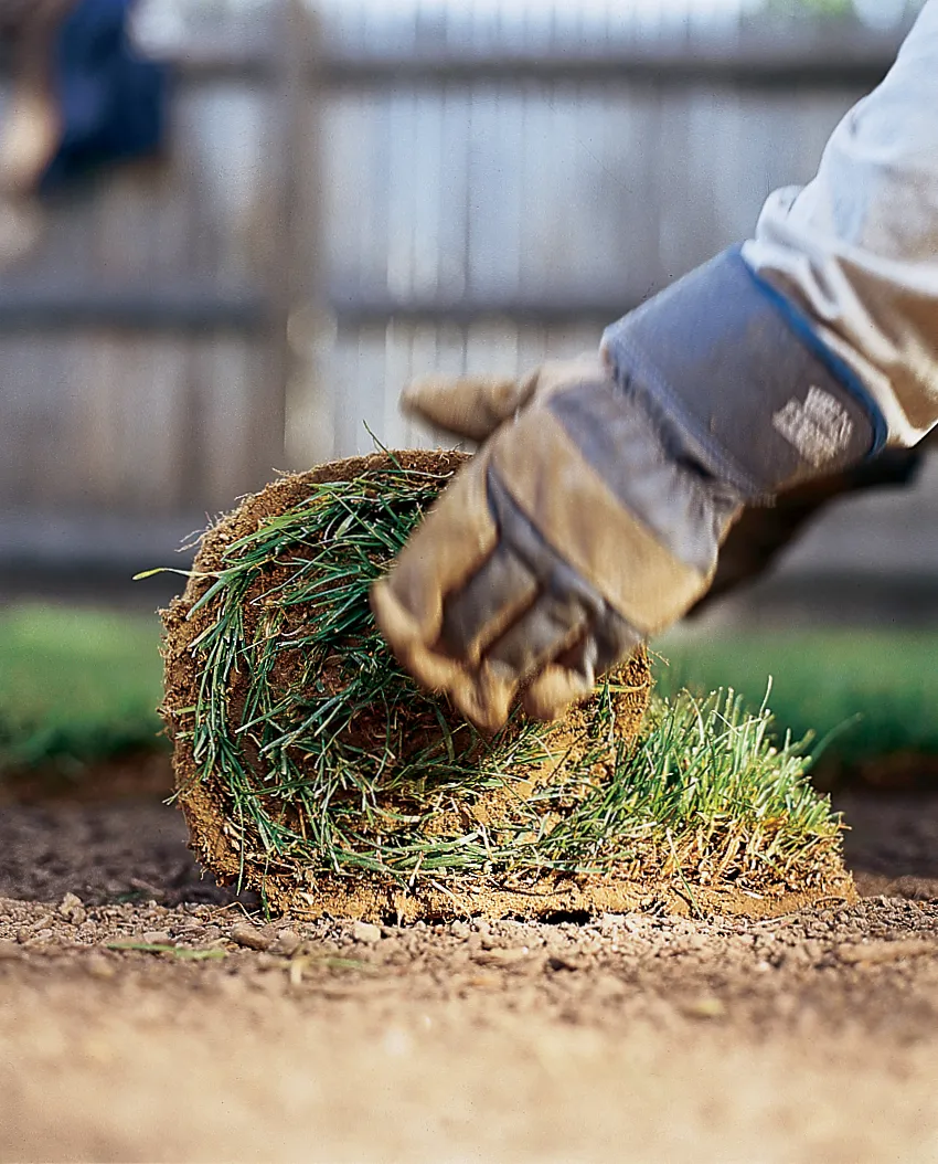 Hands in gardening gloves unroll a section of sod onto the soil to create a lawn.