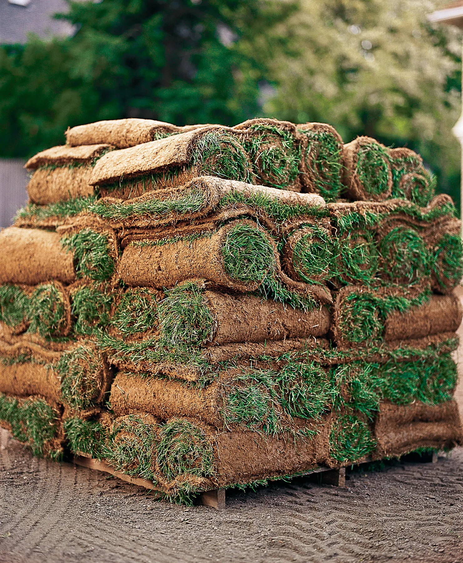 A stack of rolls of sod, ready to be installed and become a new lawn.