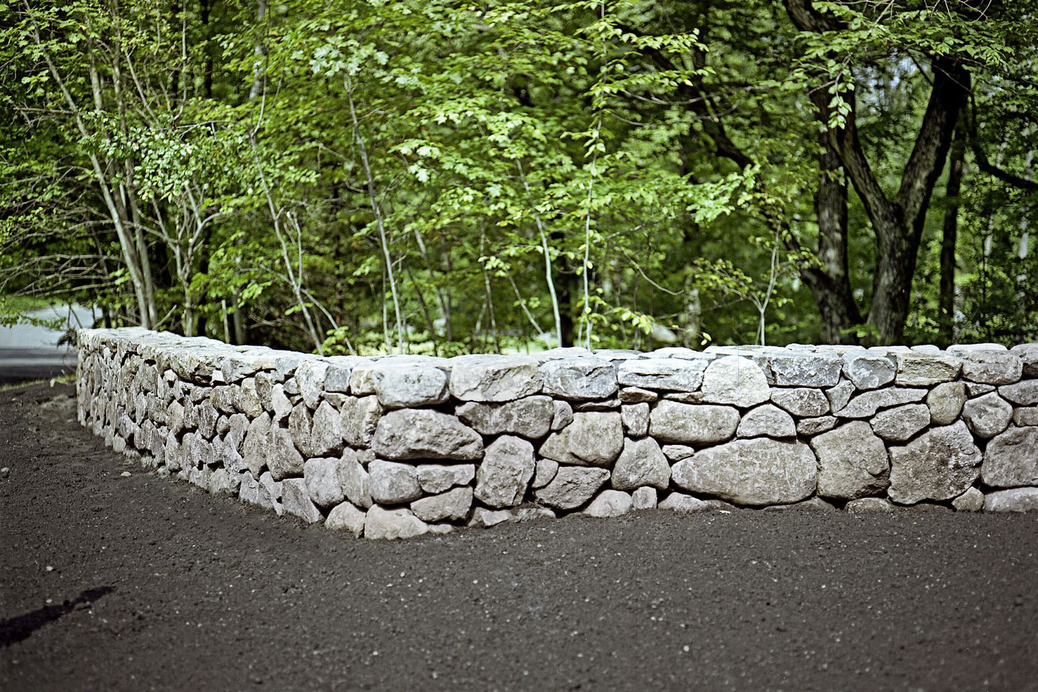 A stone wall in front of several trees.