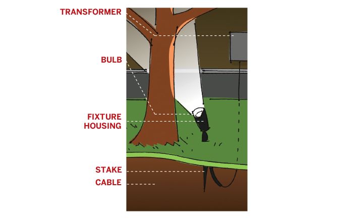 A Landscape Lighting Guide For Beginners