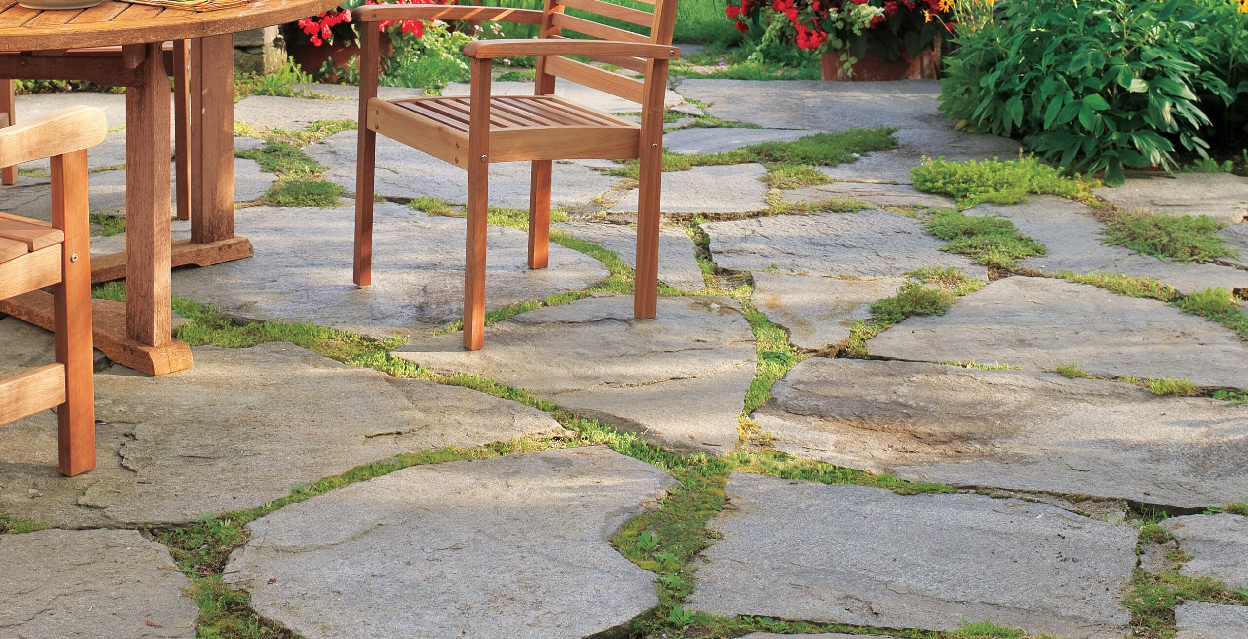 A stone patio with grass growing between each stone.