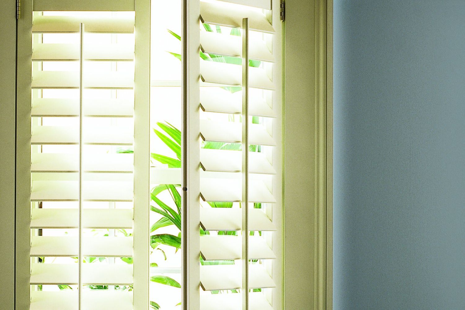 Interior shutters hanging in a window.