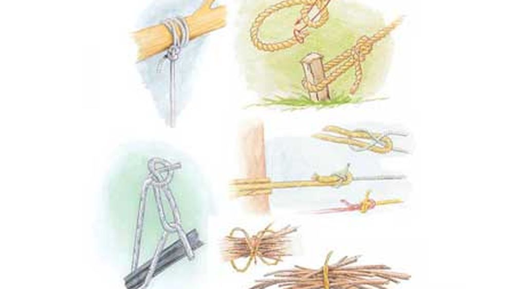 Different types of knots