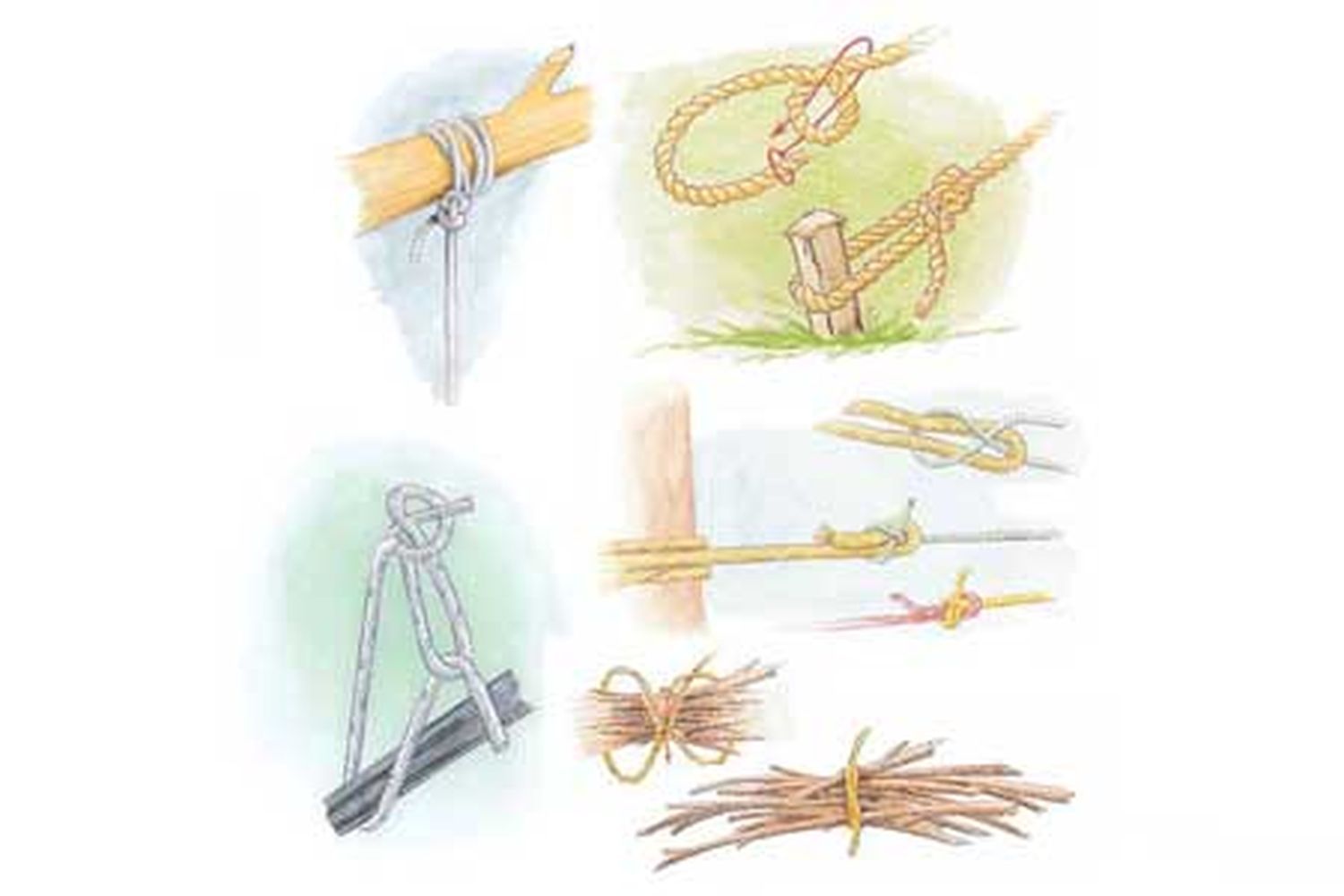 Different types of knots