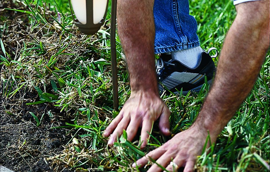 sod is replaced around a landscaping light