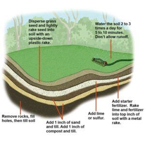 How to Seed a Lawn - This Old House