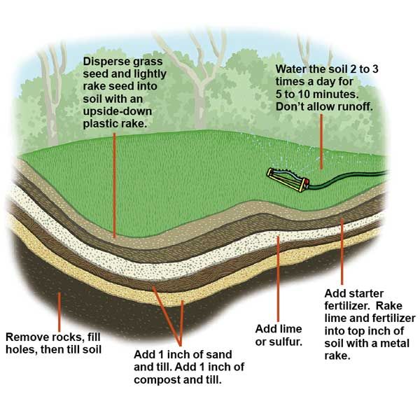 diagram of the different layers of a lawn