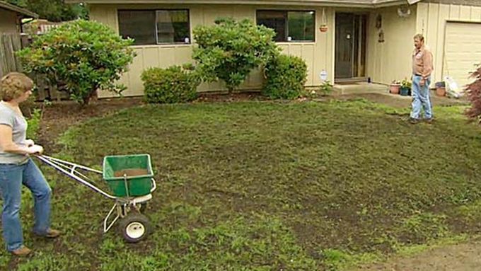 A woman pushing a wheelbarrow across a patchy lawn.