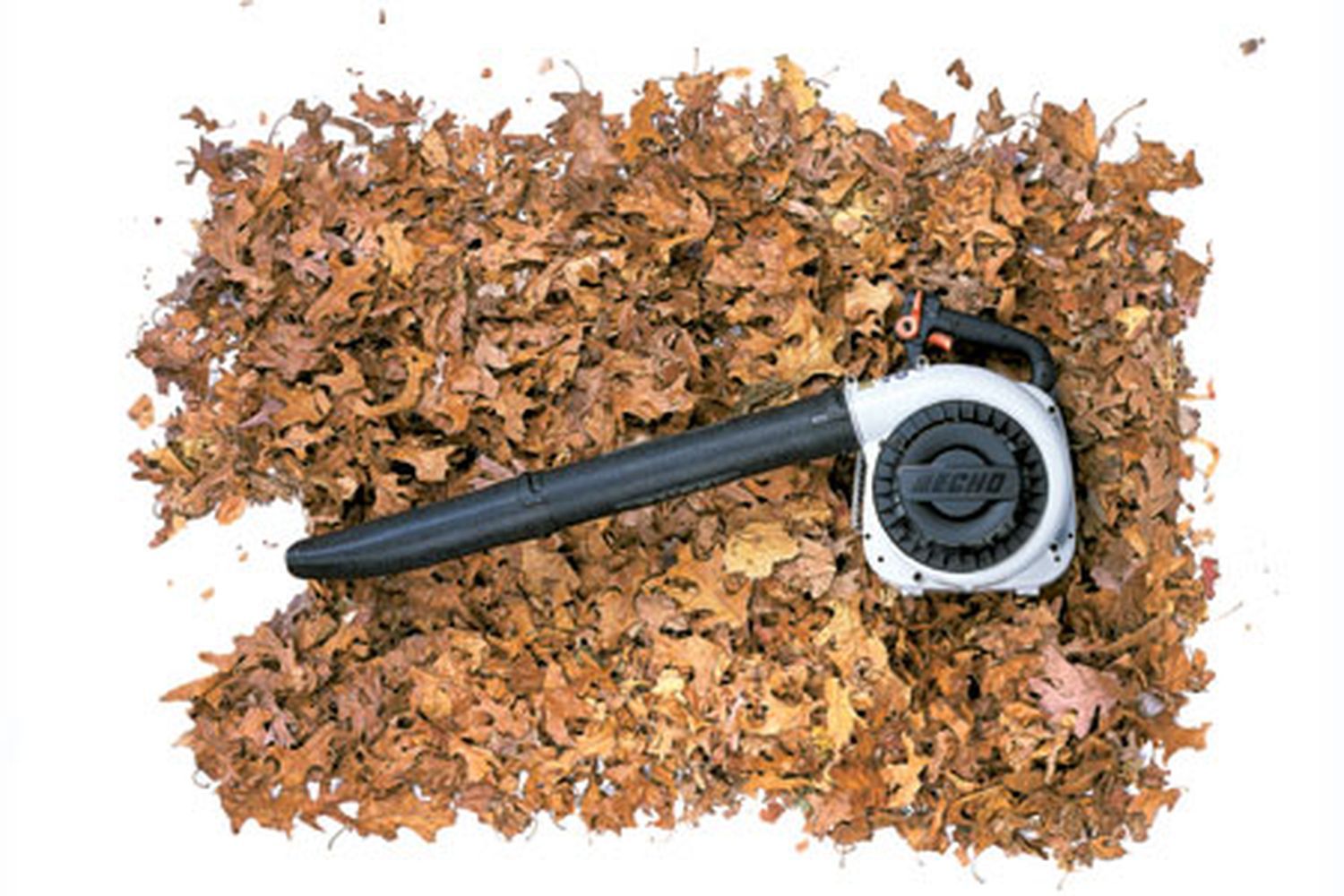 Leaf blower in a pile of leaves
