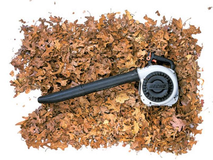 Leaf blower in a pile of leaves