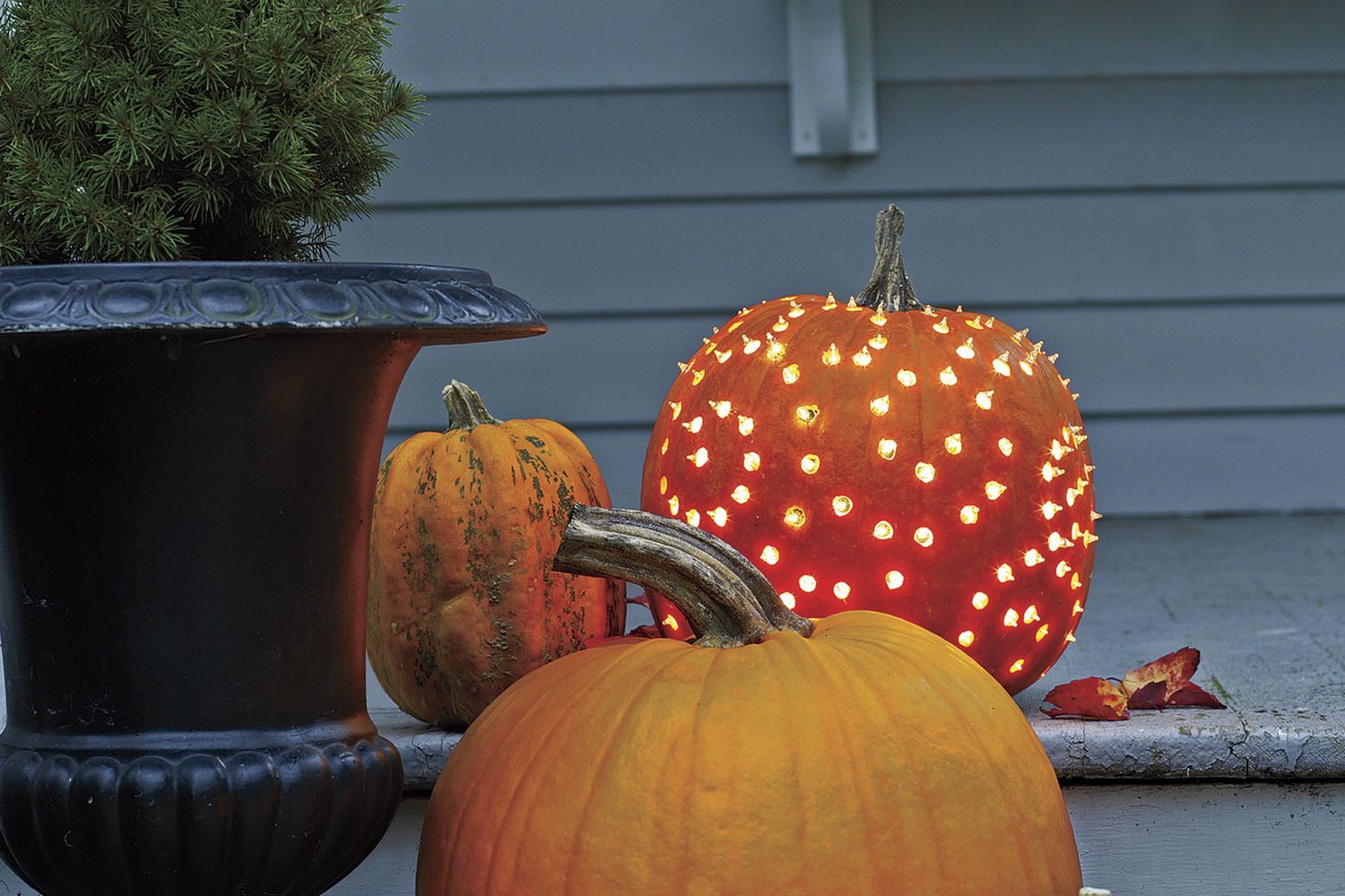 A beautiful pumpkin luminary sits on a front step along with other pumpkins.