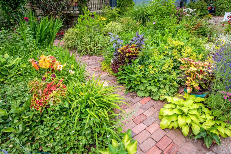 A Magical Garden in Buffalo - This Old House