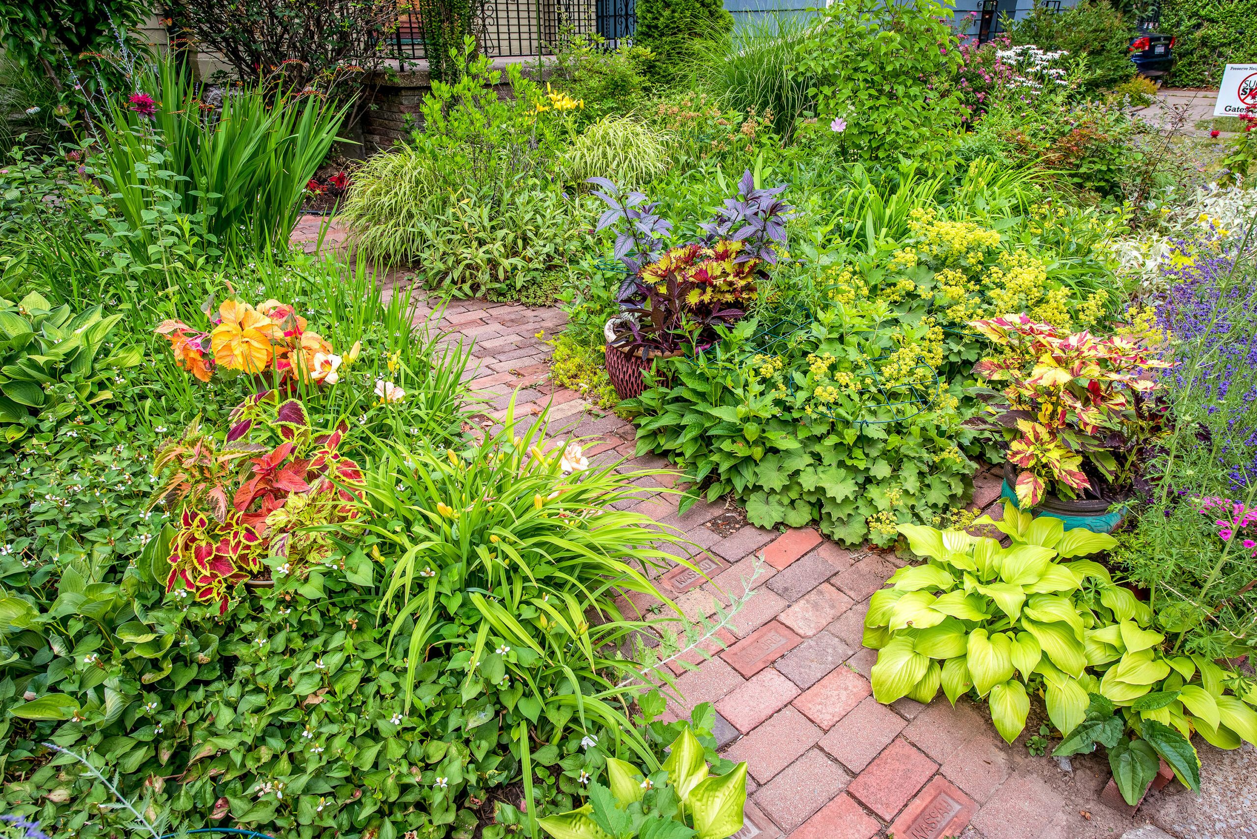 Magic meets gardening in new Harry Potter book by Buffalo's Jim