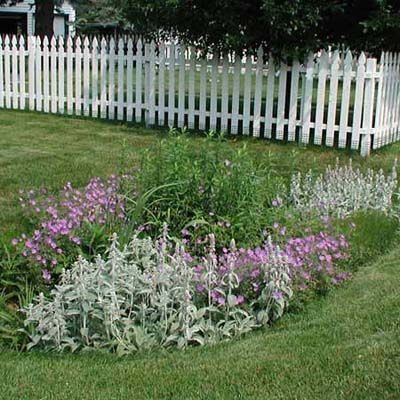 A rain garden in Maplewood, MN.