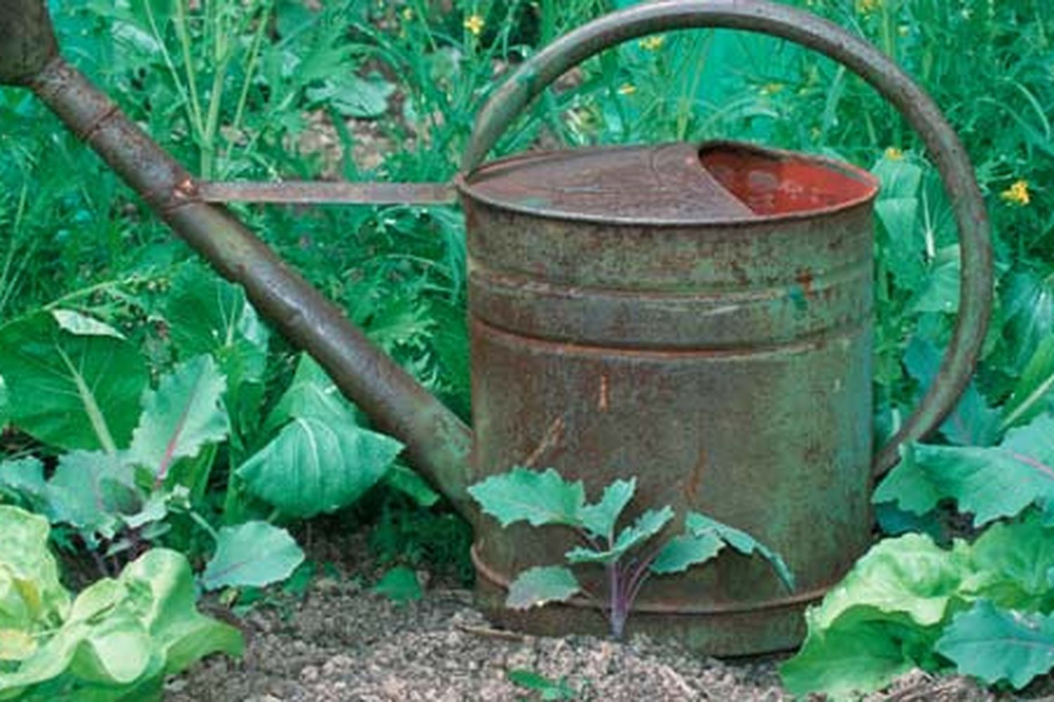 a rusty looking metal water container