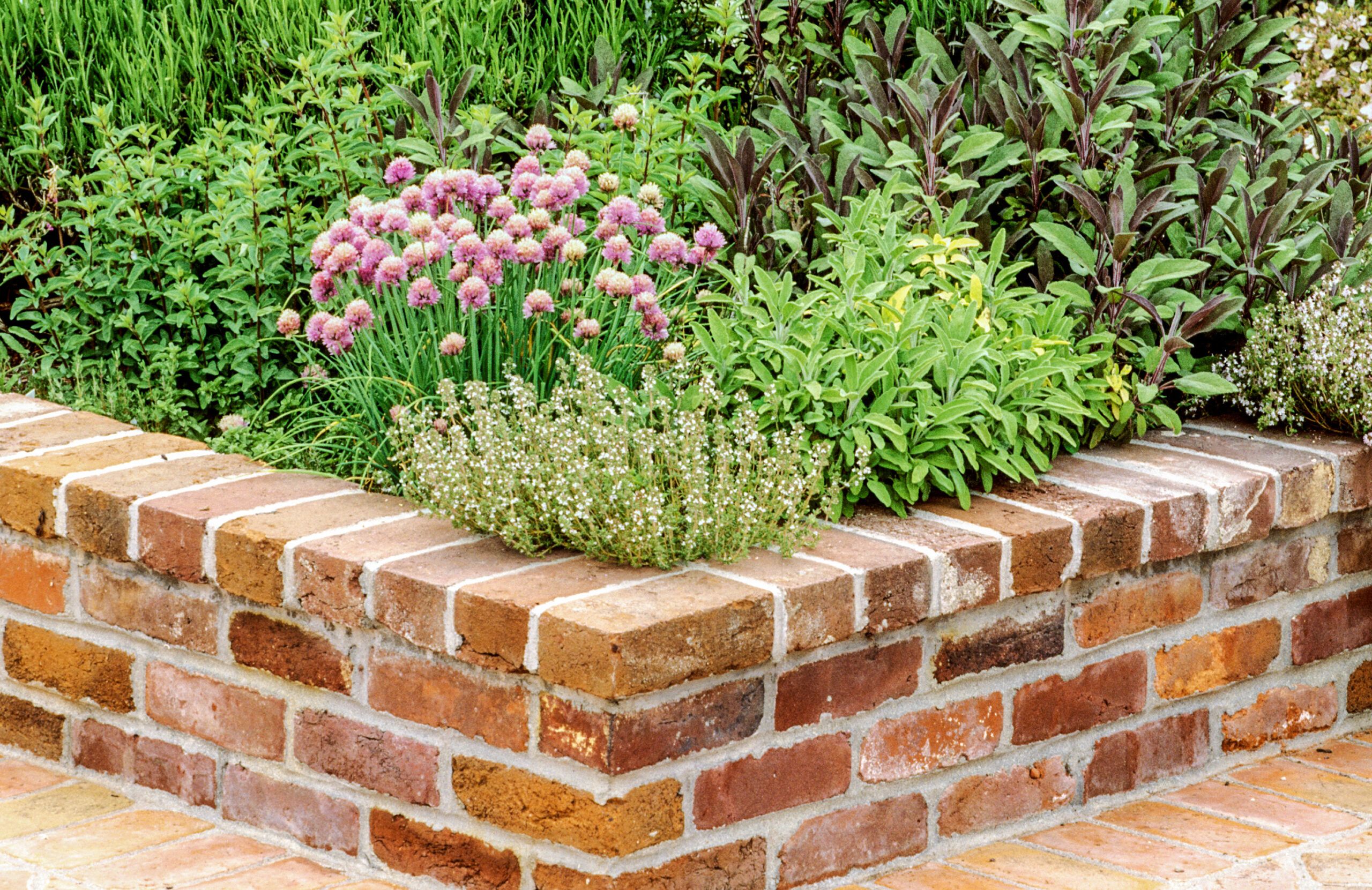 A brick garden bed with plants inside.