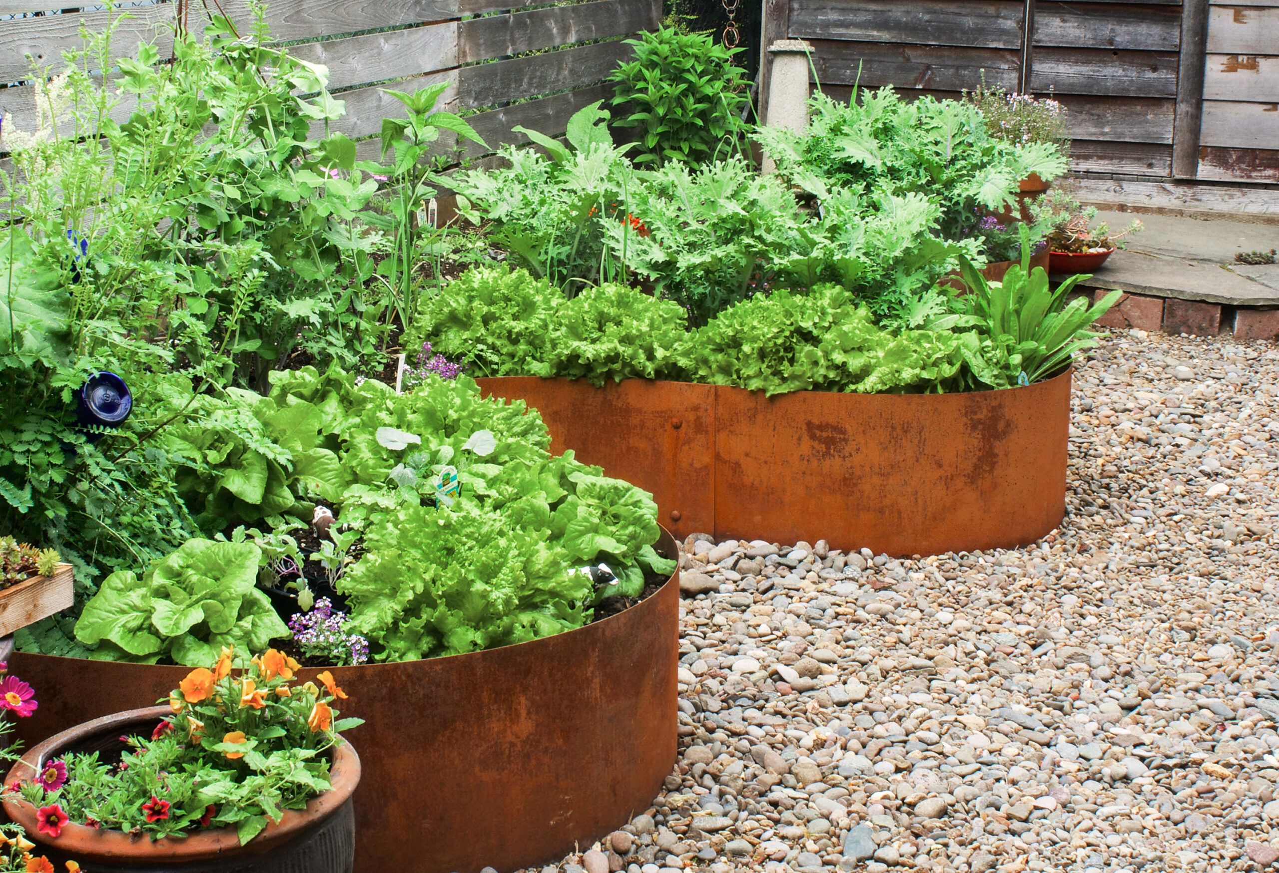 All About Raised-Bed Gardens - This Old House