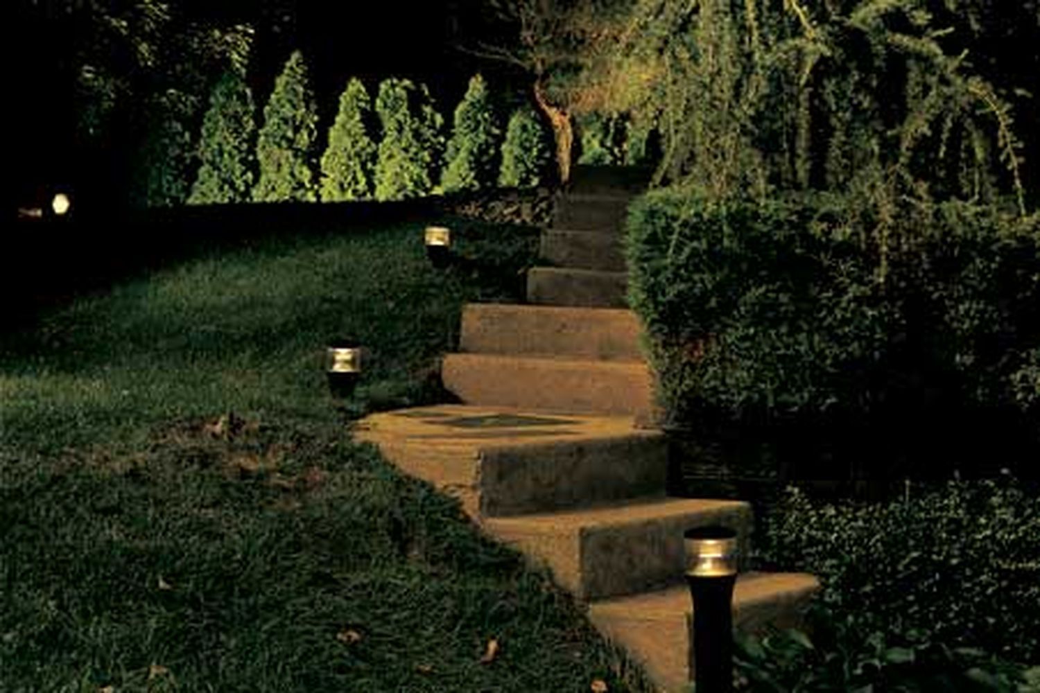 A set of outdoor steps bordered by lighting fixtures.
