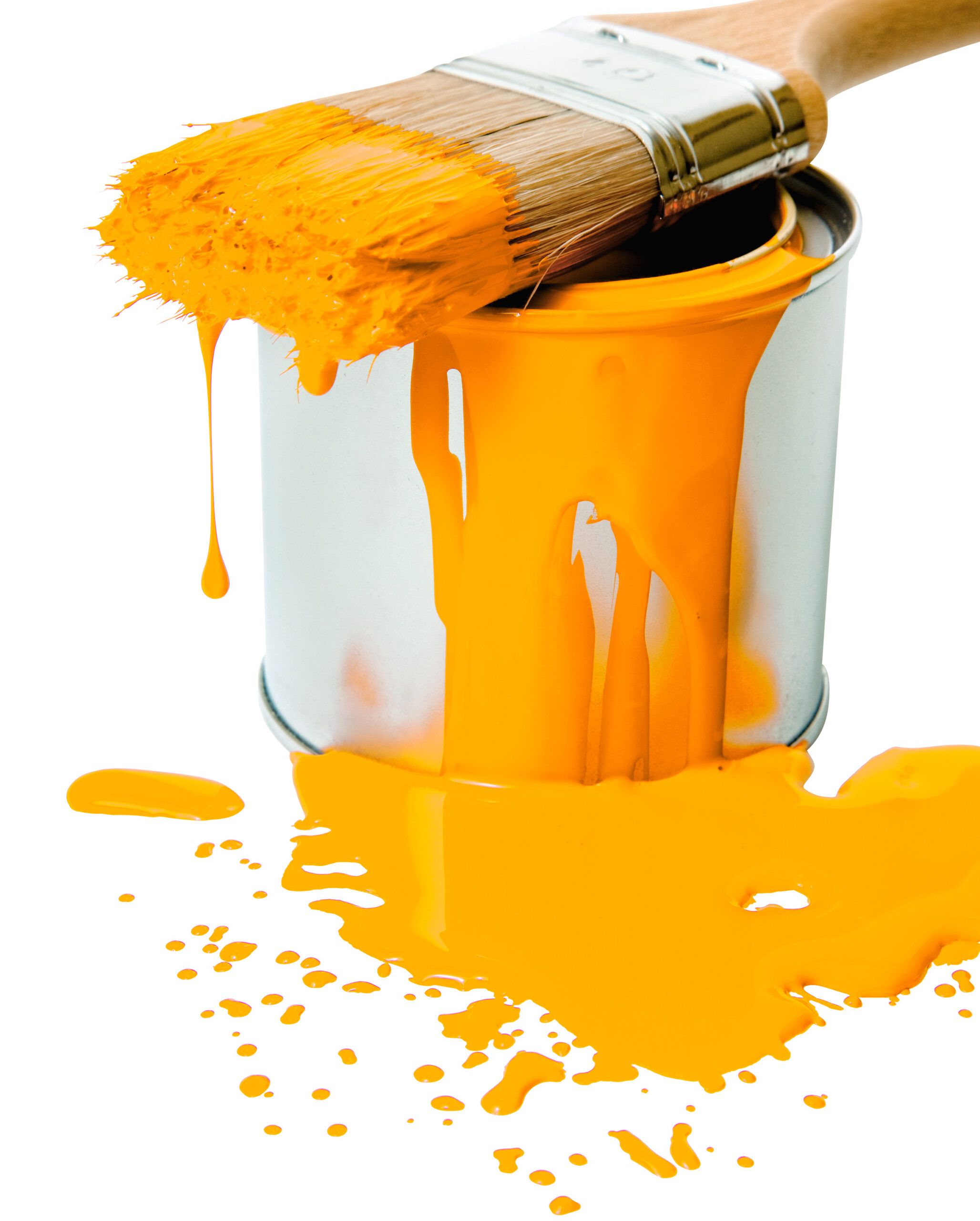 Paint Spill? Don'T Panic - This Old House