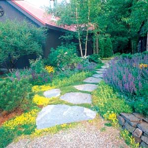 A perfect stepping stone path through a garden.