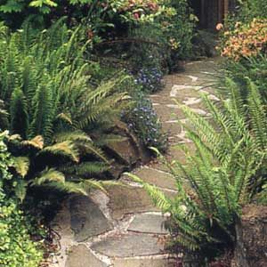 A grouted stone path through a garden.