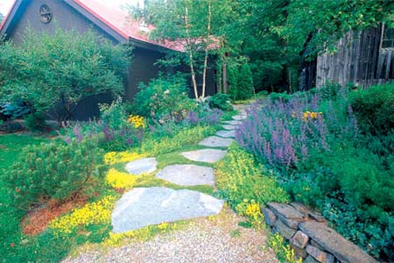 Stone path surrounded by plants and leading up to a house.