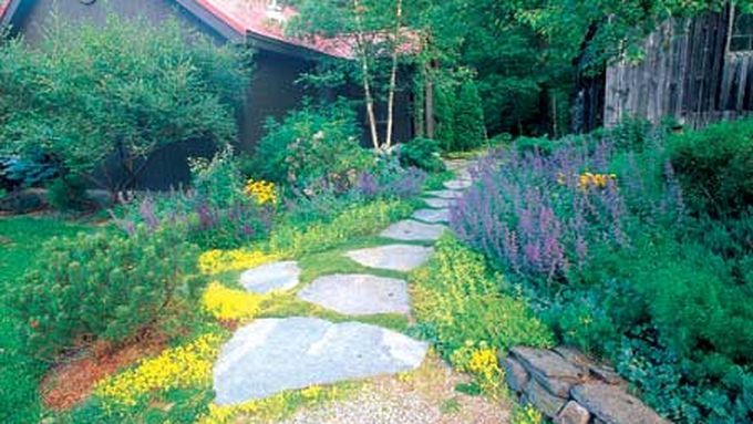 Stone path surrounded by plants and leading up to a house.