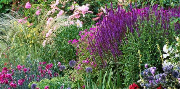 Tried-and-True Perennials to Spruce Up Your Garden - This Old House