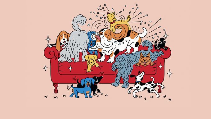 A picture of several dogs drawn in a cartoon style sitting on and around a red couch.