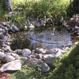 Putting in a Pond: Types, Benefits, and Essential Maintenance - This ...