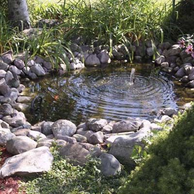 Everything You Need to Know to Build the Perfect Backyard Pond - This Old  House