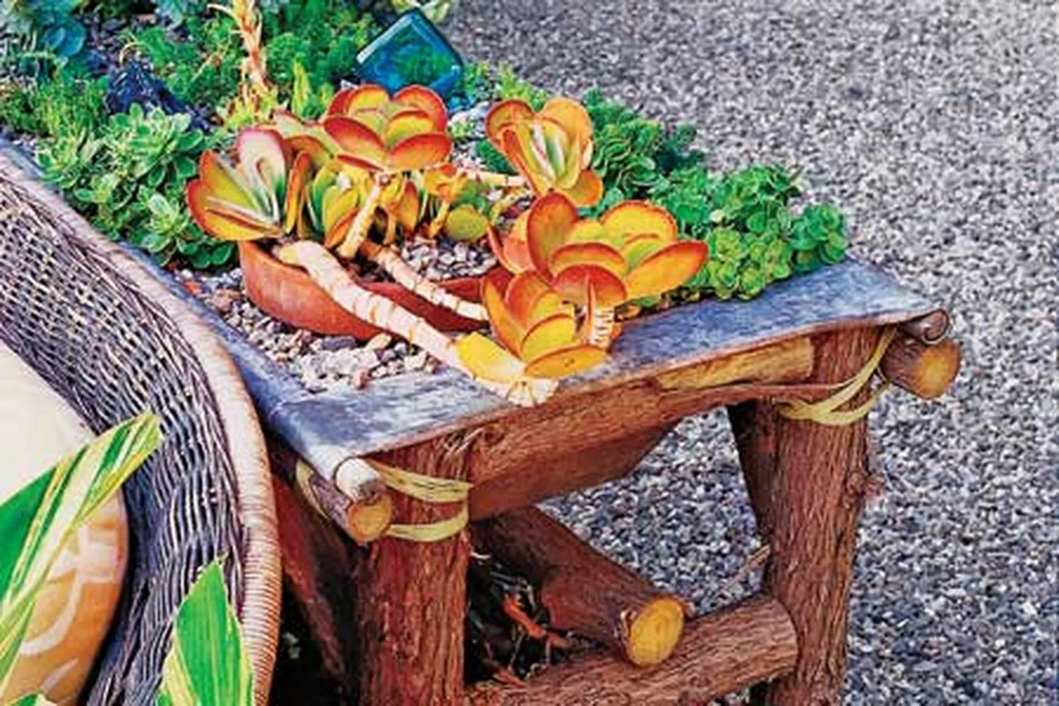 A potted plant in an elevated planter.