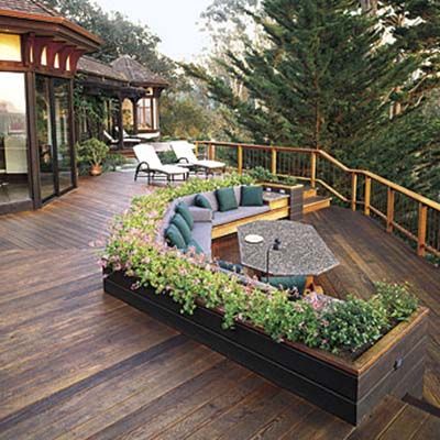 privacy plants for decks