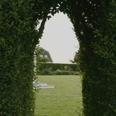 A privet hedge arch looking out to a yard.
