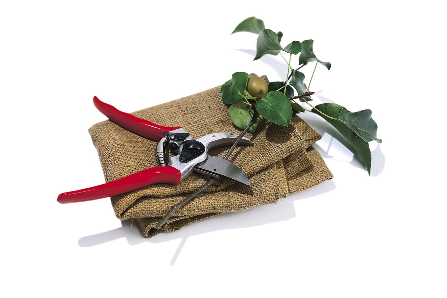 pruners_loppers_x