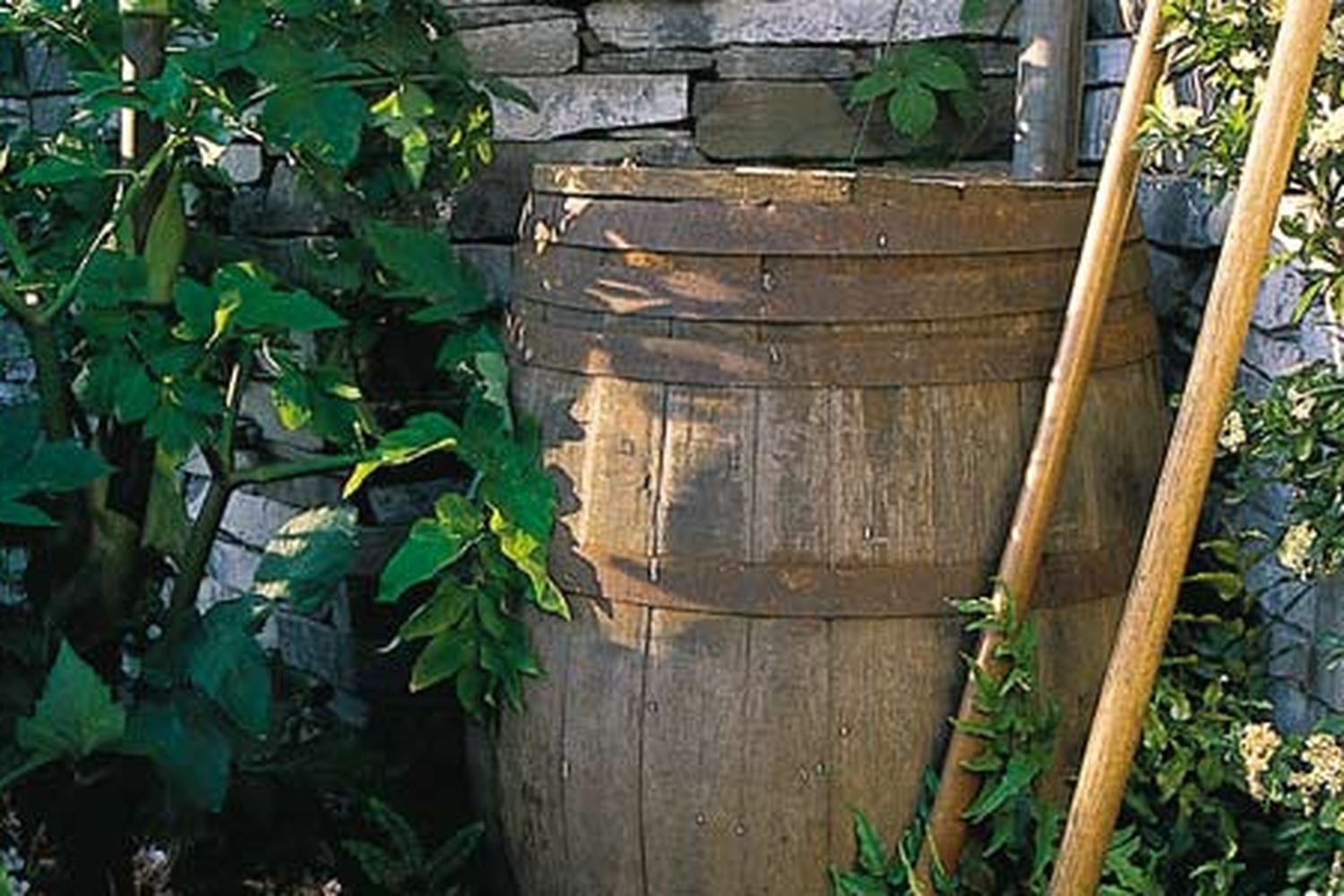 rain_barrels_xl