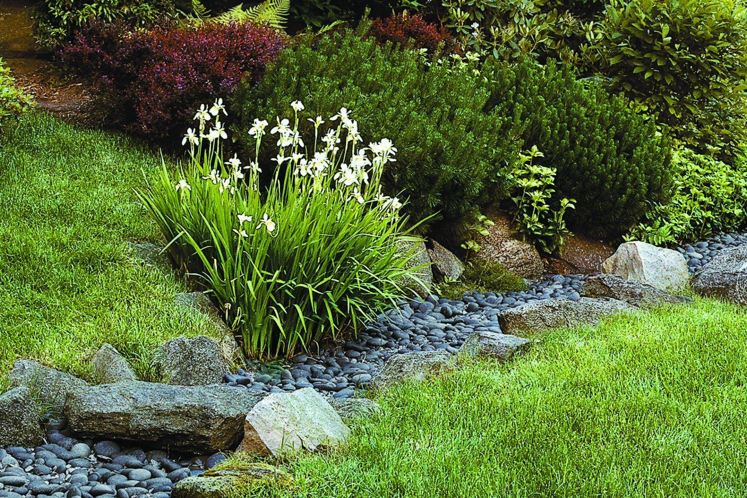 rain_gardens_xl