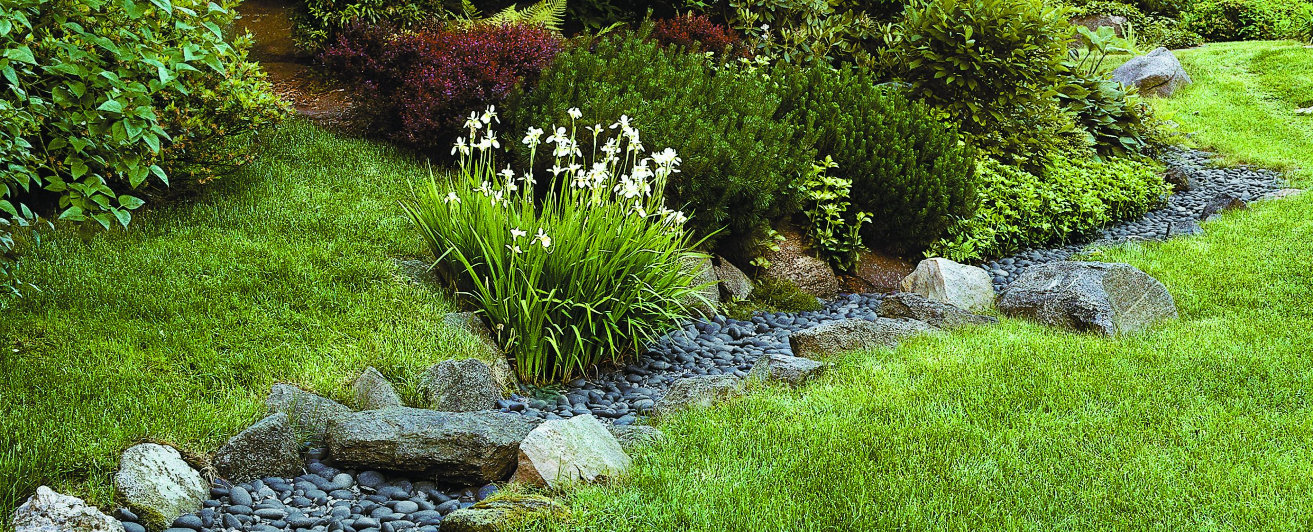 How To Use Landscaping To Deal With Storm Water - This Old House