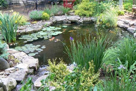 Best Ponds from Readers Yards - This Old House