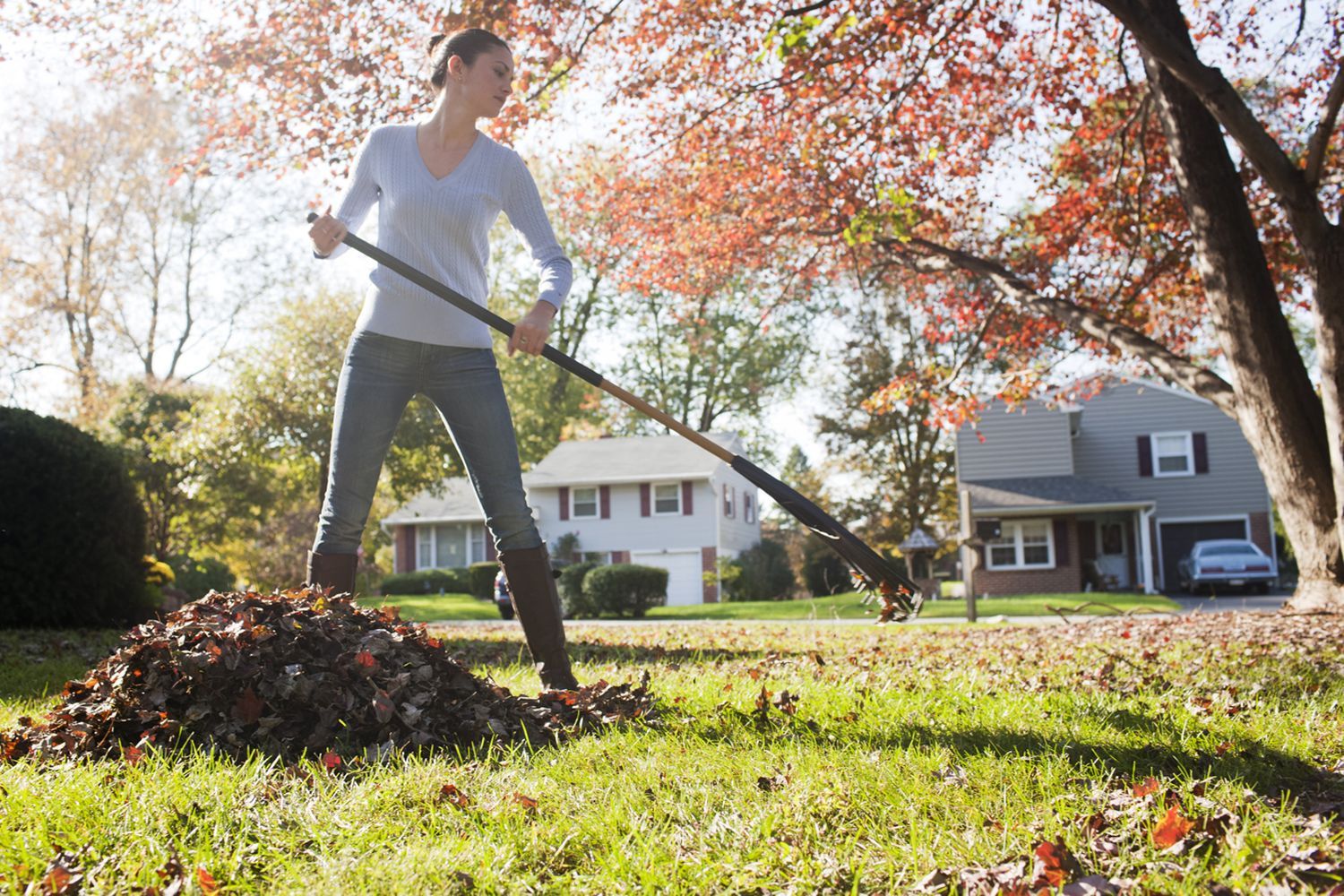 A woman doing yardwork with a rake.