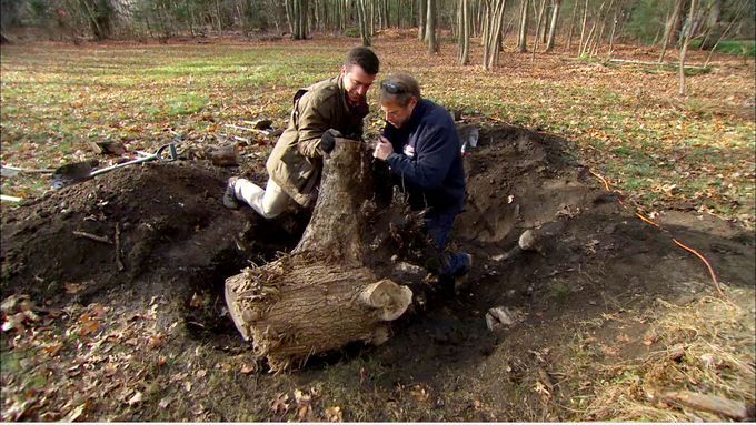 Two men removing a large tree stump from the ground.