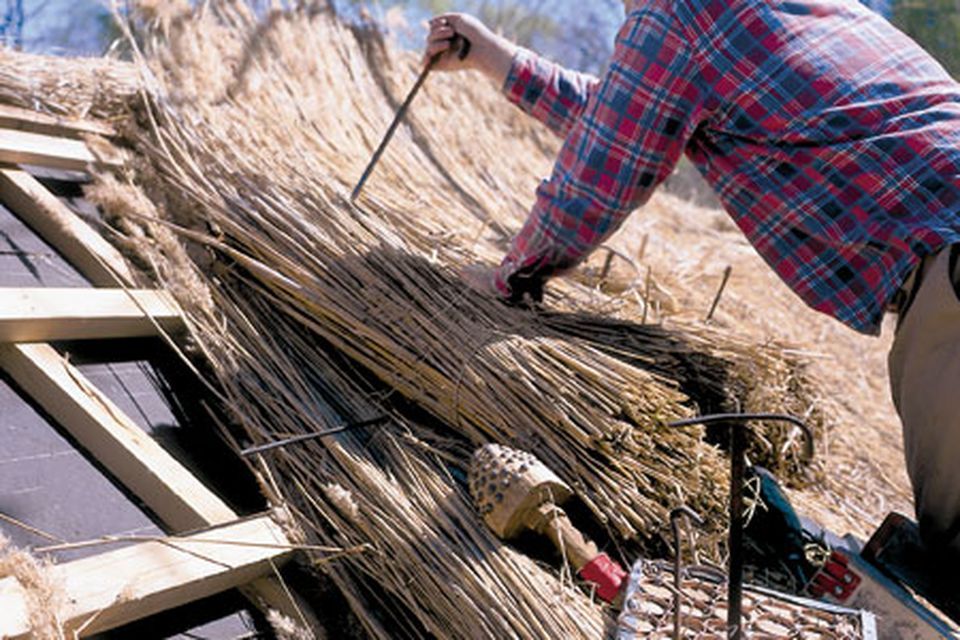 roofing_materials_x_0