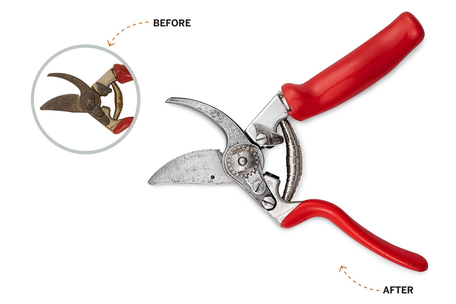 a rusty pruning shear and a clean one