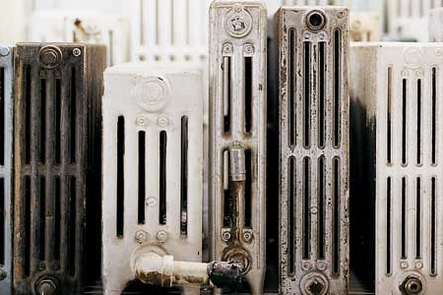 salvage_shopping_xlA