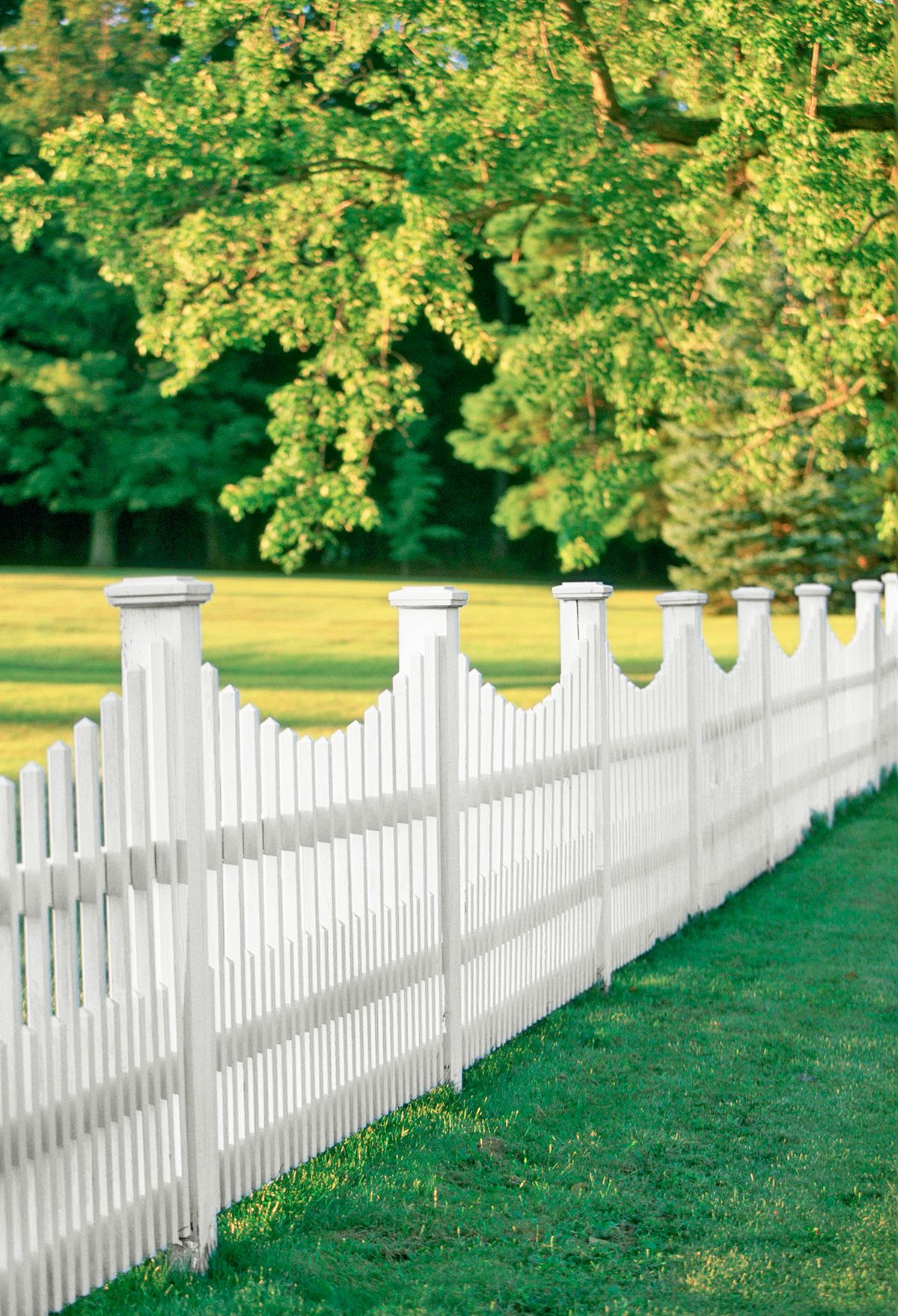 A picket fence with a scallop design that dips in between each of the larger posts.