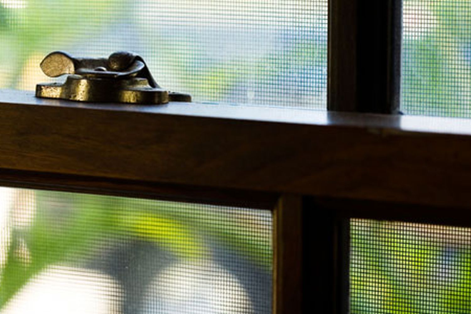 A window screen sitting behind the glass of a window.