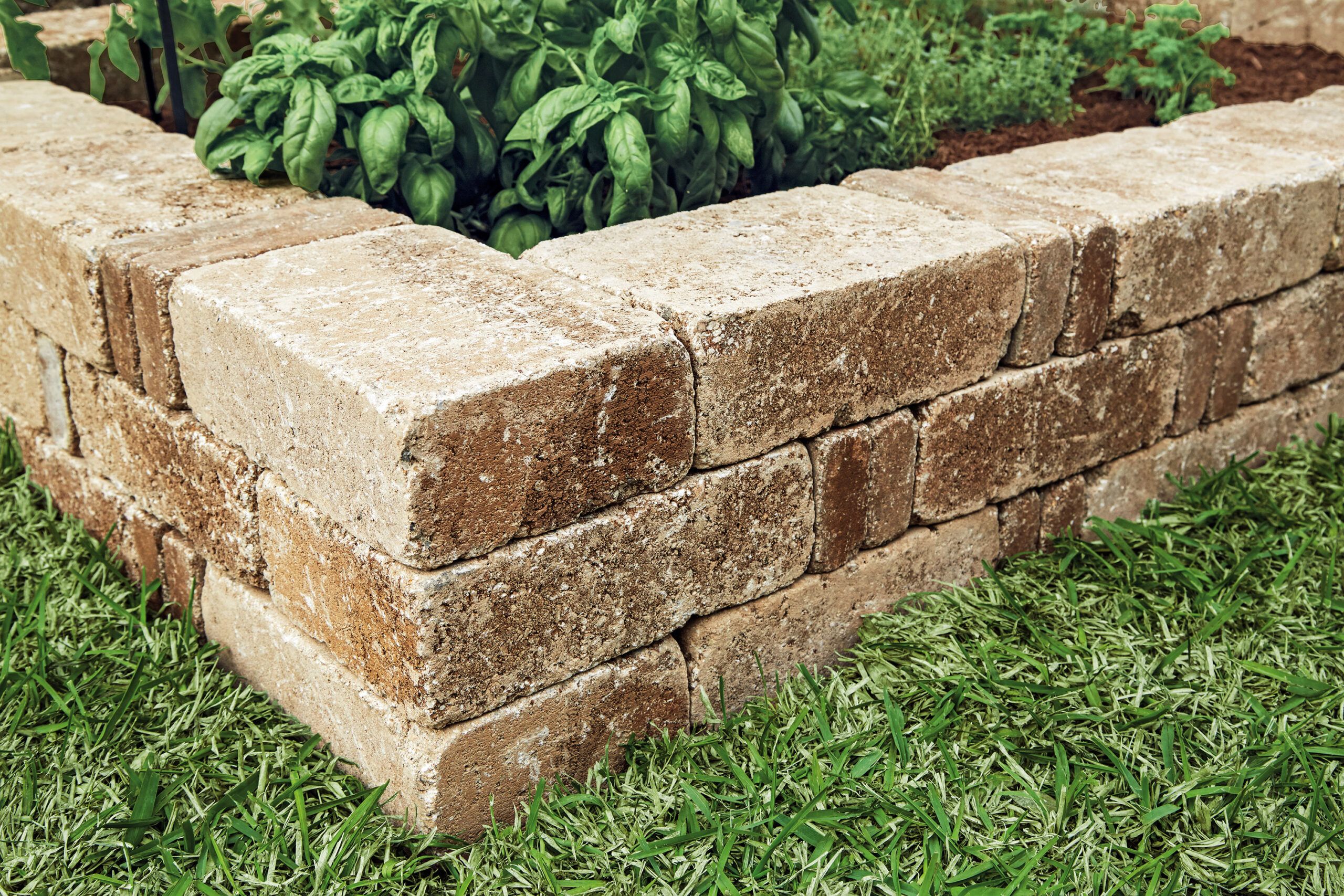 A stone garden bed in a yard.